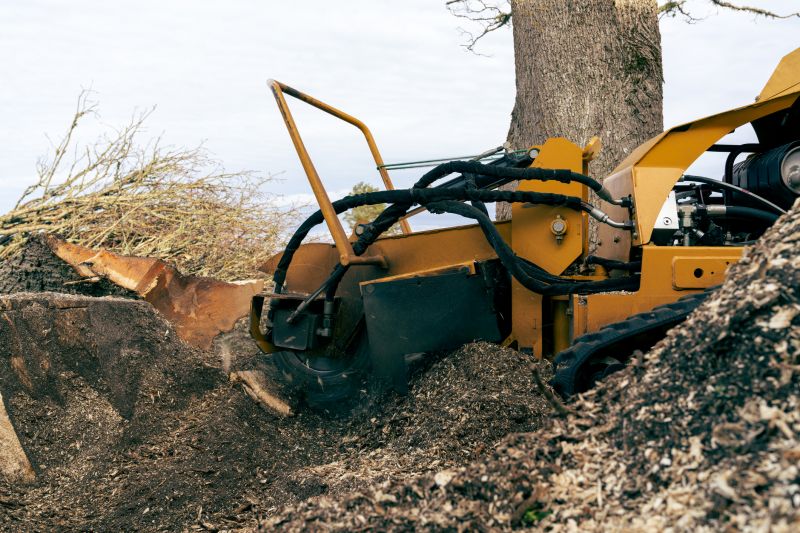 Bush Stump Grinding