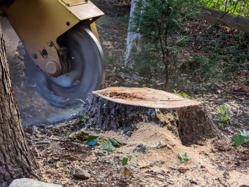 Bush Stump Grinding