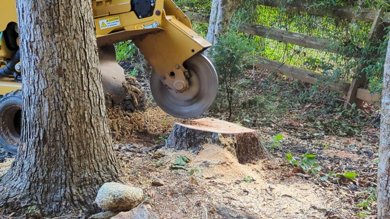 Bush Stump Grinding