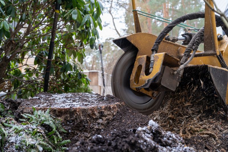 Bush Stump Grinding
