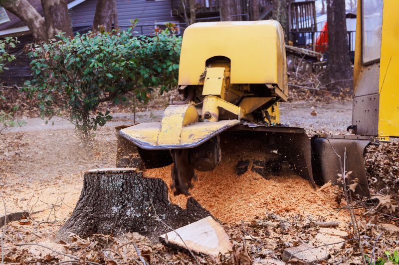 Bush Stump Grinding