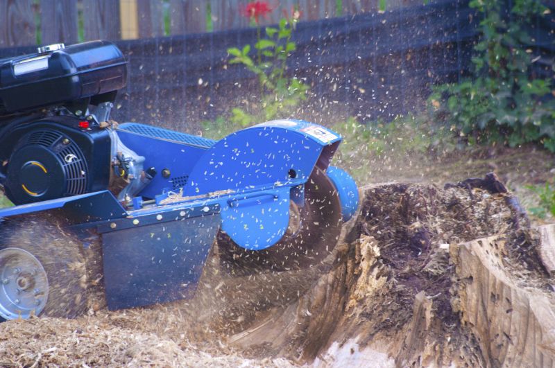 Bush Stump Grinding