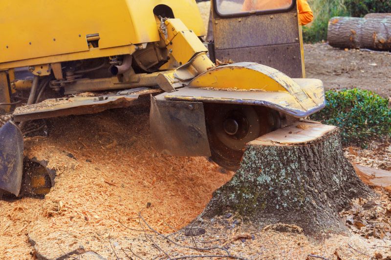 Bush Stump Grinding