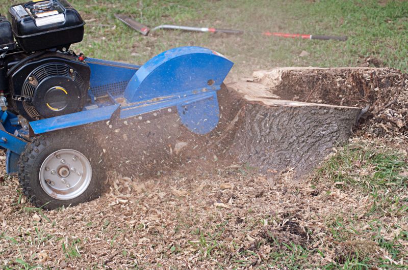Bush Stump Grinding