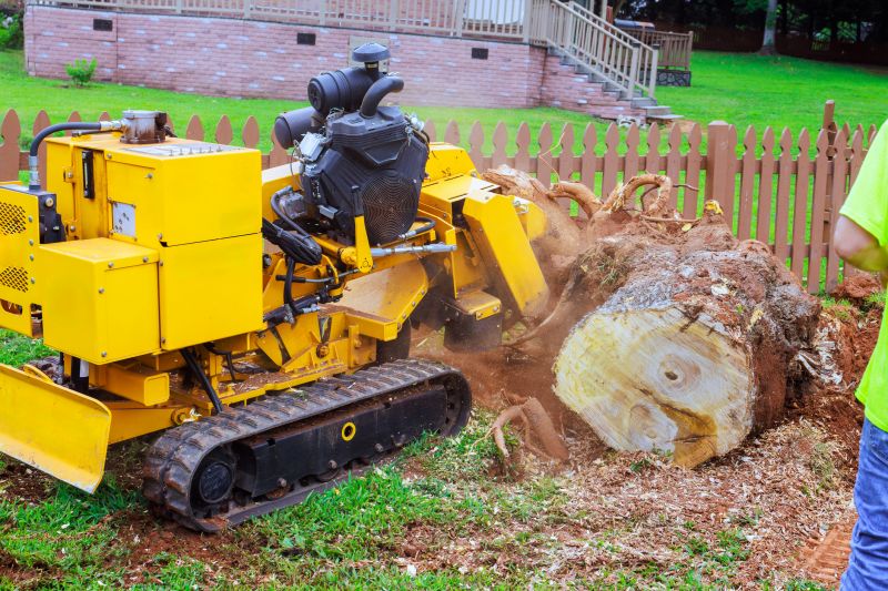 Bush Stump Grinding