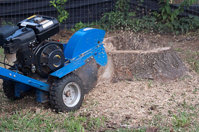 Bush Stump Grinding