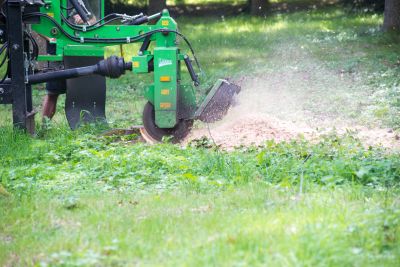 Bush Stump Grindings in Summer