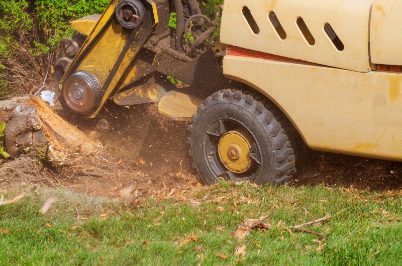 Stump Grinding Near Trees