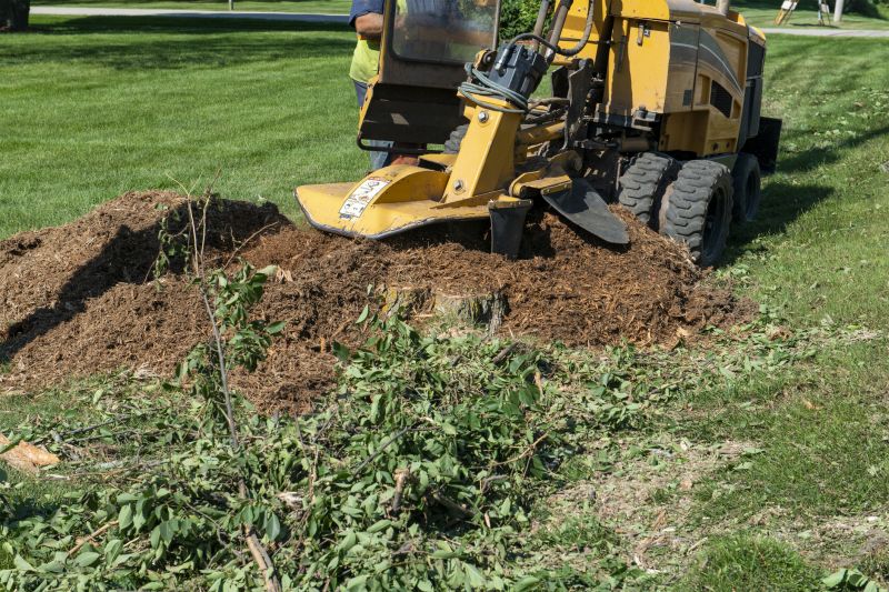 Bush Stump Grinding