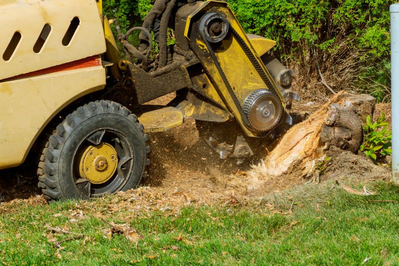 Inside Stump Grinding Equipment