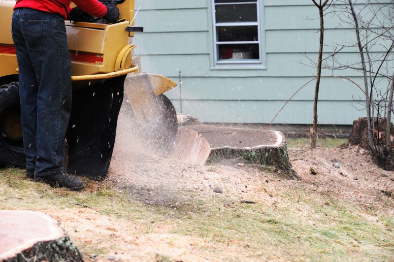 Contact About Bush Stump Grinding